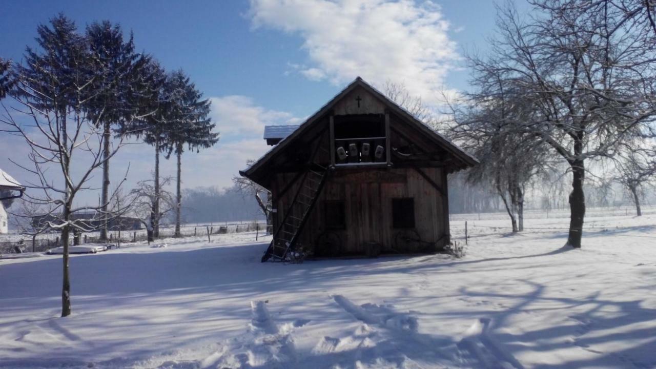 Ranc Jures Appartement Ljutomer Buitenkant foto